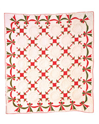 ターキートラックス